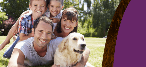 Chandler family best sale vet care