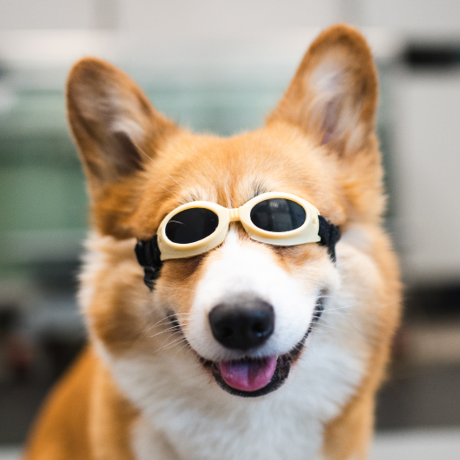 Laser Therapy